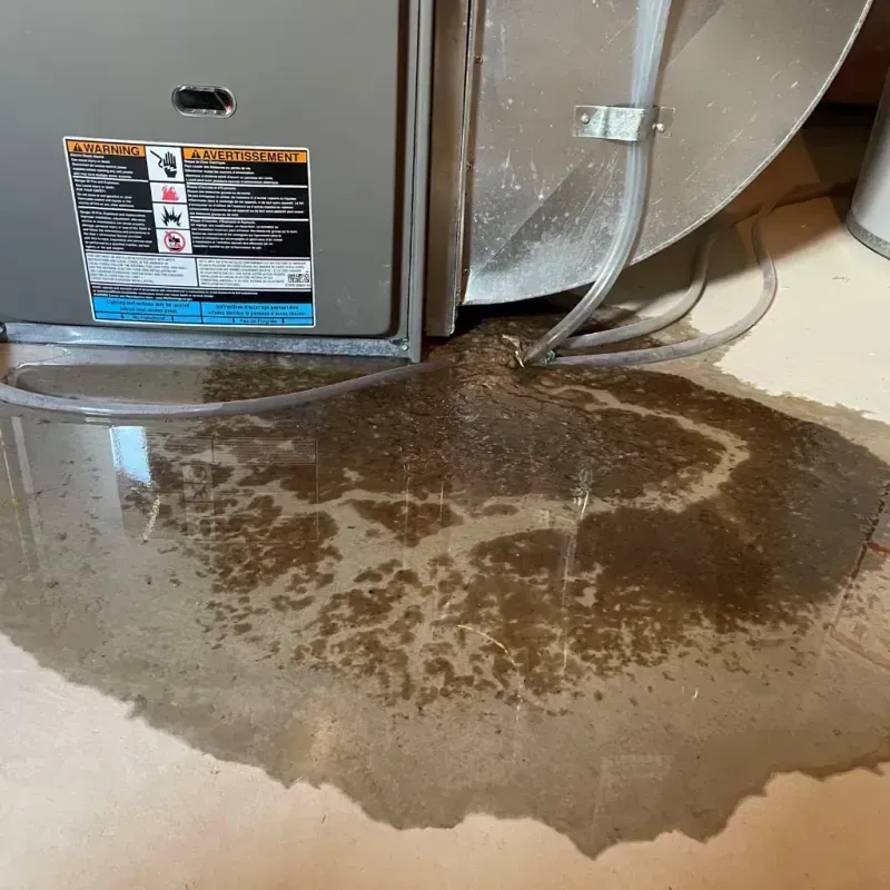 Appliance Leak Cleanup in Gentry County, MO